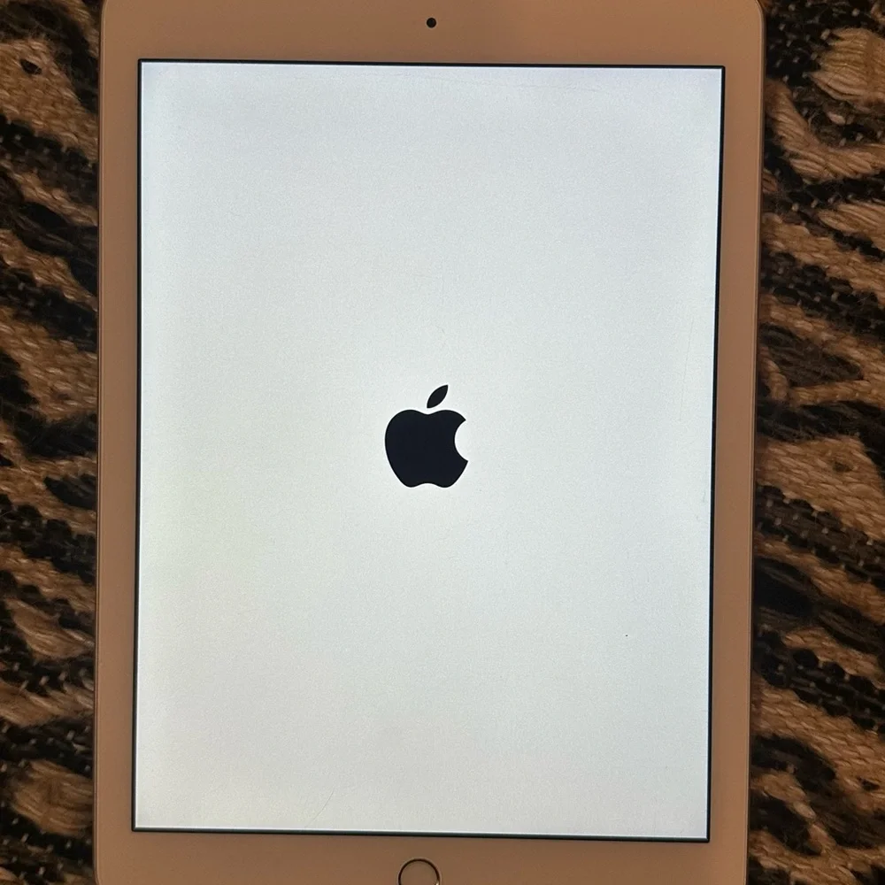 Apple iPad - Silver